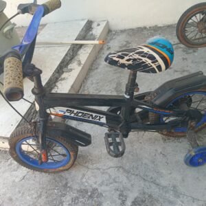 Sepeda Anak Phoenix Bekas.